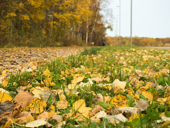 Similar image 13291925