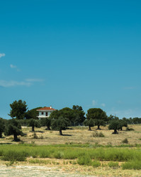 Similar image 13291899