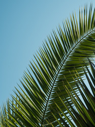 Similar image 13291906