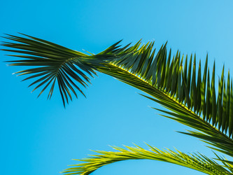 Similar image 13291908