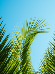 Similar image 13291910