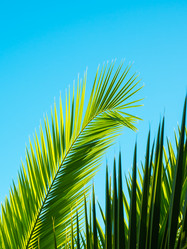 Similar image 13291913