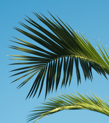 Similar image 13291917