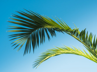 Similar image 13291922