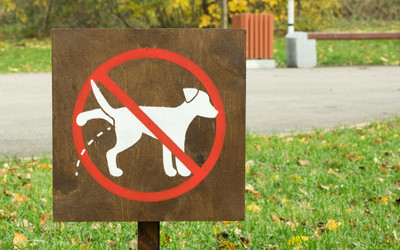 Similar image 13291948