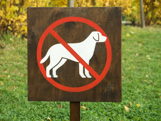 Similar image 13291947