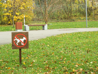 Similar image 13291949