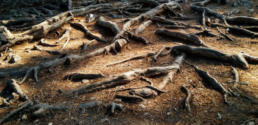 Similar image 13294226