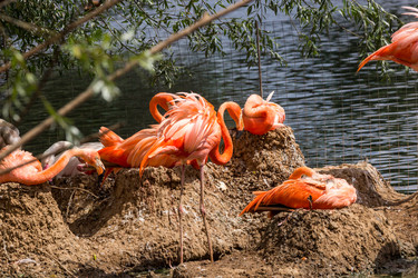 Similar image 13291853