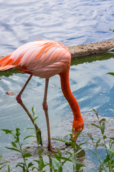 Similar image 13291854