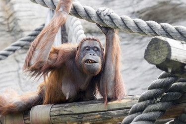 Similar image 13291857