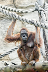 Similar image 13291858