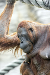 Similar image 13291859