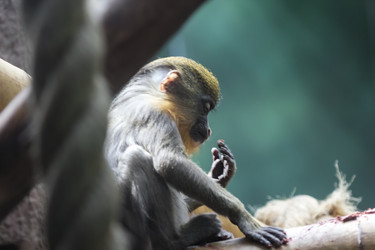 Similar image 13291860