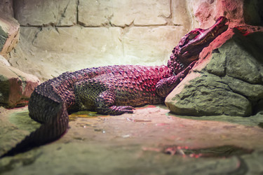 Similar image 13291863