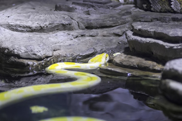 Similar image 13291866