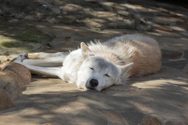 Similar image 13291869