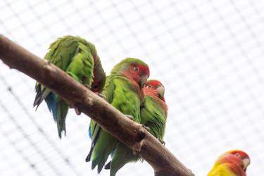 Similar image 13291878