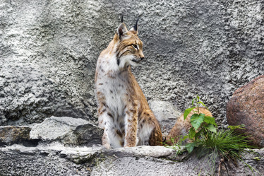 Similar image 13291881