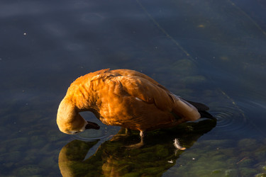 Similar image 13291891