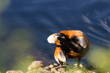 Similar image 13291893