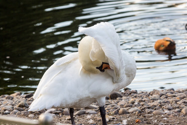 Similar image 13291903