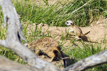 Similar image 13291907