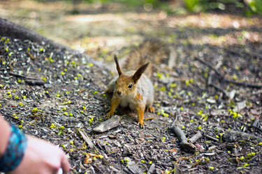 Similar image 13291911