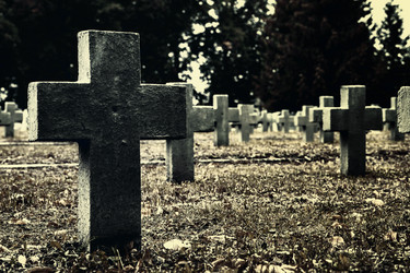 Similar image 13292320