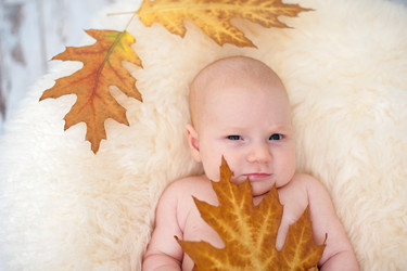 Similar image 13294621