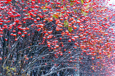 Similar image 13294234