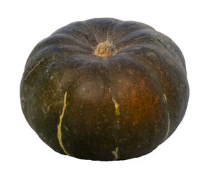 Similar image 13294511