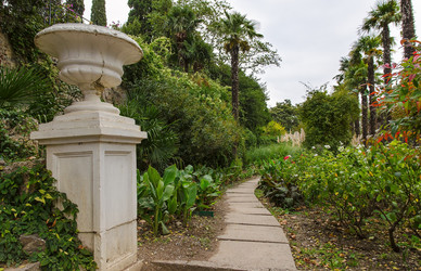 Similar image 13294782