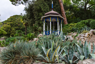 Similar image 13294787