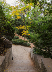 Similar image 13294790