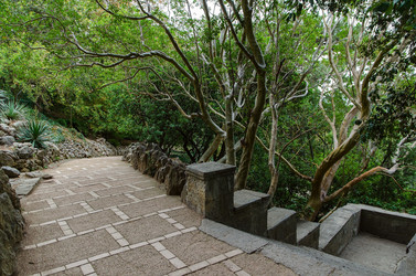 Similar image 13294755