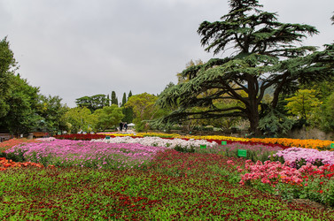 Similar image 13294756