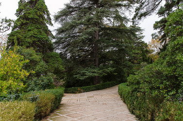 Similar image 13294760