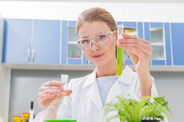 Similar image 13293769