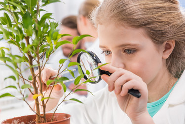 Similar image 13293785