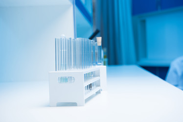 Similar image 13295883