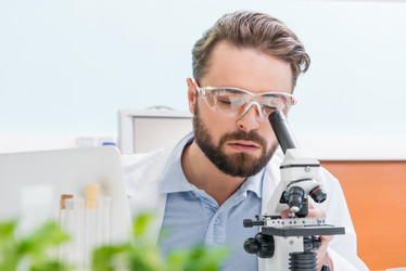 Similar image 13291395