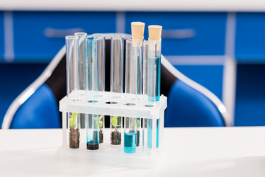 Similar image 13292765