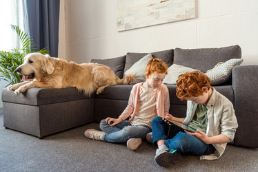 Similar image 13291342