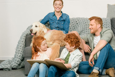 Similar image 13293422