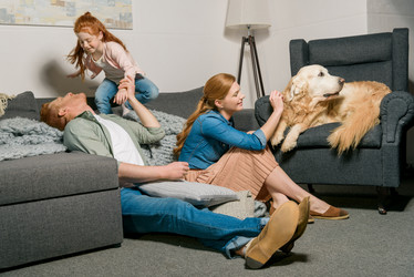 Similar image 13293497