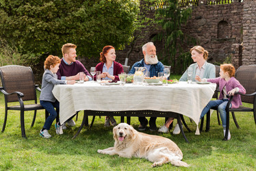 Similar image 13293540