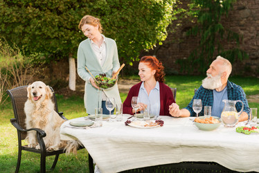 Similar image 13295819