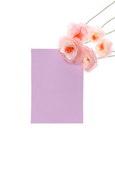 Similar image 13293304