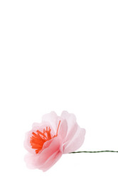 Similar image 13293564